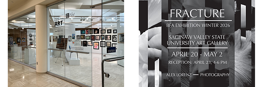 280 x 850 combined banner of hs and W bfa